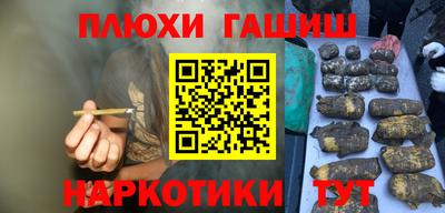 сатива Можга