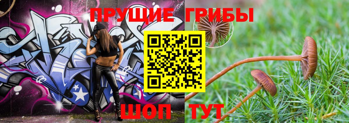 Псилоцибиновые грибы Magic Shrooms  Вход с VPN  закладки  Учалы 