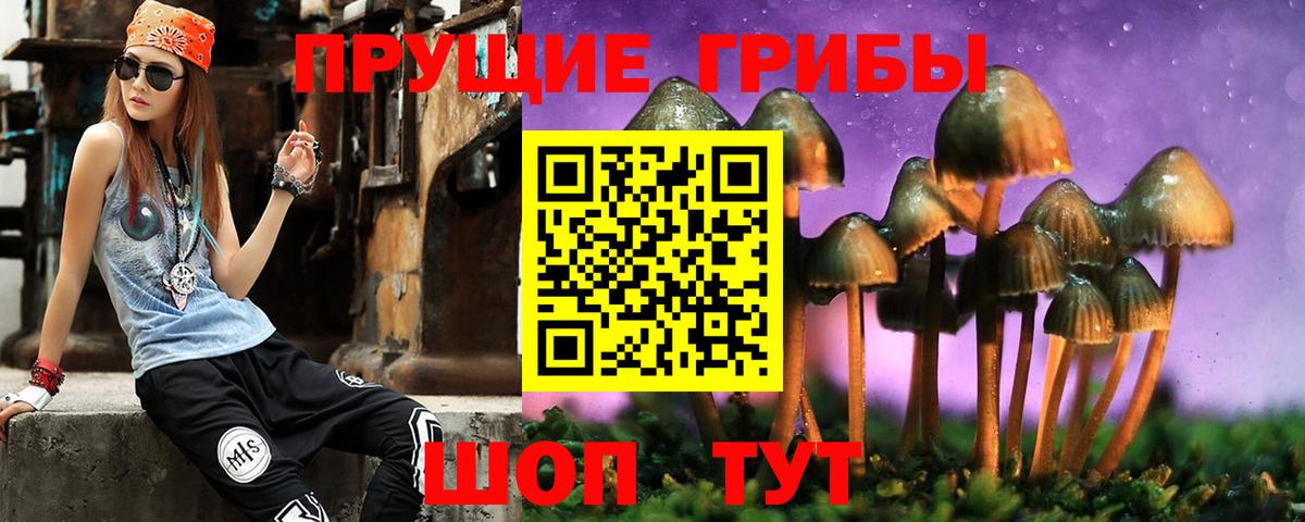 Псилоцибиновые грибы Cubensis Учалы